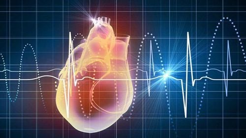 
Bổ sung vitamin E có lợi đối với người bị bệnh tim mạch
