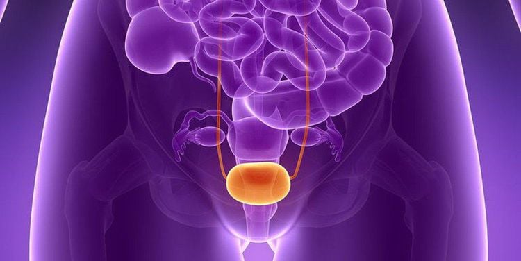 
Ung thư bàng quang có thể gây ra nhiều biến chứng nguy hiểm
