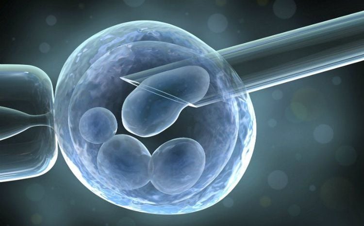 
IVF là phương pháp hỗ trợ vô sinh hiếm muộn hiệu quả nhất hiện nay
