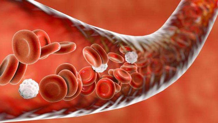 
Liều dextran cần được giảm thiểu đối với trường hợp đông máu
