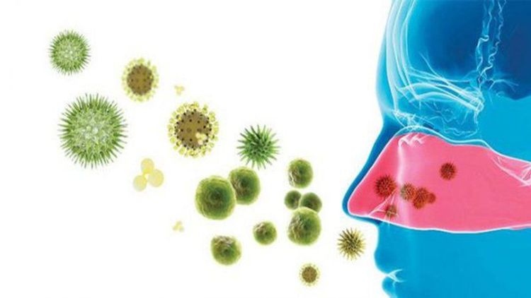 
Bệnh viêm mũi không dị ứng thường do virus gây ra
