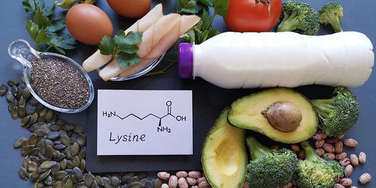 
Bổ sung thực phẩm giàu lysine giúp hỗ trợ hệ miễn dịch và tăng cường sức khỏe cho cơ thể
