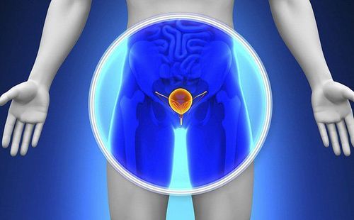 
Phì đại tiền liệt tuyến thường gặp nhất ở đàn ông trên 80 tuổi
