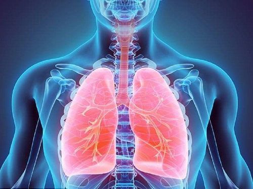 
Viêm phổi có thể kích hoạt quá trình nhiễm trùng máu
