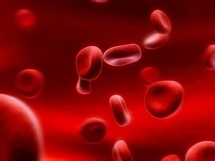 
Nồng độ thẩm thấu máu góp phần điều hòa nước trong cơ thể

