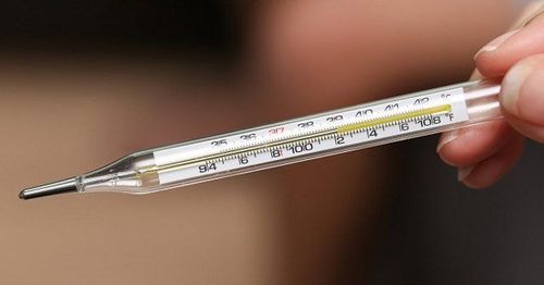 
Những người cao thường ít có sự nhạy cảm về nhiệt độ so với người thấp

