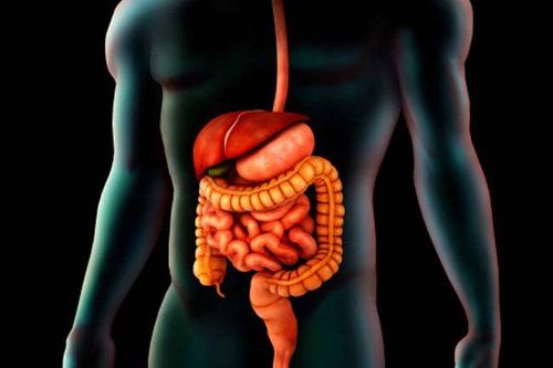 
Ăn no khiến tất cả năng lượng trong cơ thể dồn hết xuống hệ tiêu hóa
