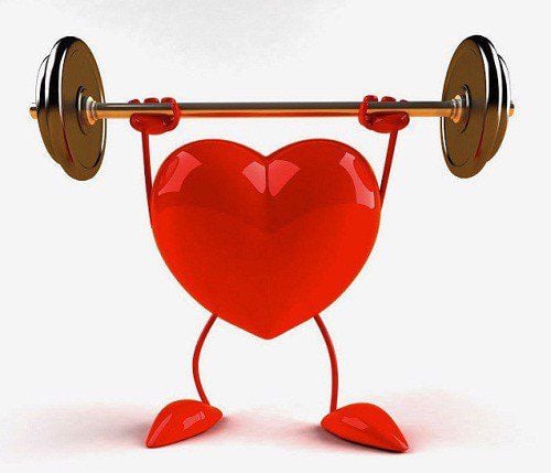 
Yến mạch giúp giảm nguy cơ mắc các bệnh tim mạch.
