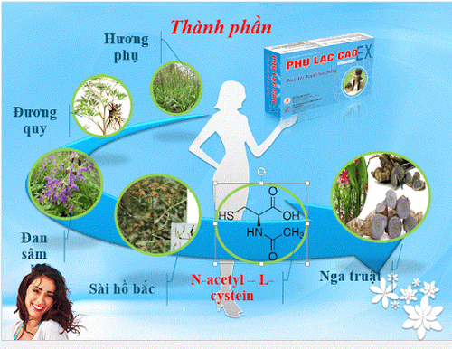
Sự kết hợp hài hòa của các thành phần trong Phụ Lạc Cao EX giúp cải thiện đau bụng kinh, lạc nội mạc tử cung hiệu quả
