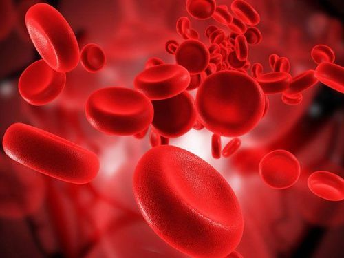 
Phát hiện huyết thanh ANCA có vai trò quyết định trong việc chẩn đoán bệnh viêm các mạch máu nhỏ

