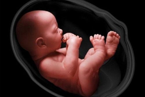 
Nước ối bao quanh em bé khi ở trong bụng của mẹ
