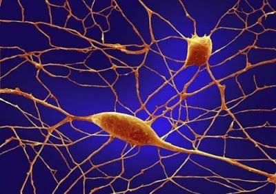 
Chất điện giải giúp duy trì năng lượng cho các tế bào
