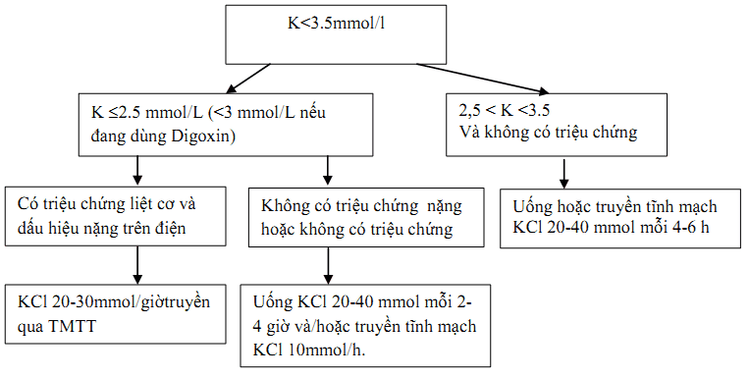 
Sơ đồ xử lý hạ kali máu
