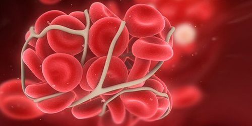 
Chức năng chính của nó bao gồm xúc tác quá trình chuyển đổi plasminogen thành plasmin, enzyme chính liên quan đến việc làm tan cục máu đông
