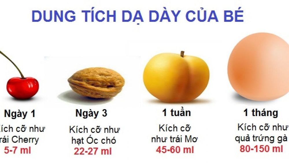 
Hình ảnh dung tích dạ dày của trẻ
