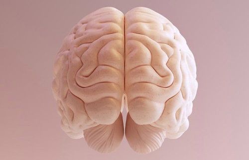 
Bộ não con người có thể xử lý rất nhiều thông tin mỗi giây và nhanh hơn máy tính
