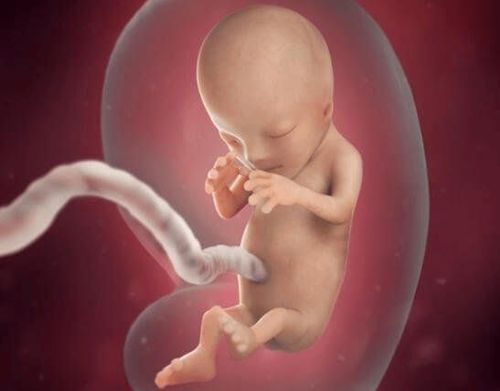 
Gây tê ngoài màng cứng hoàn toàn không gây ảnh hưởng đến thai nhi
