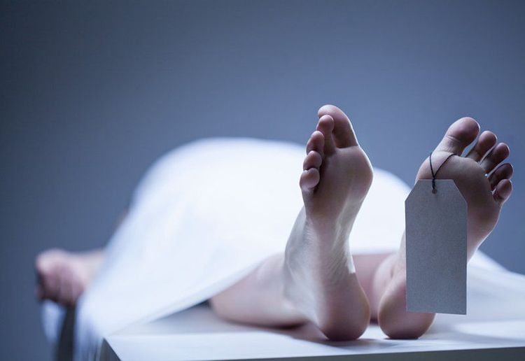 
Bệnh dịch hạch có khả năng gây tử vong rất lớn
