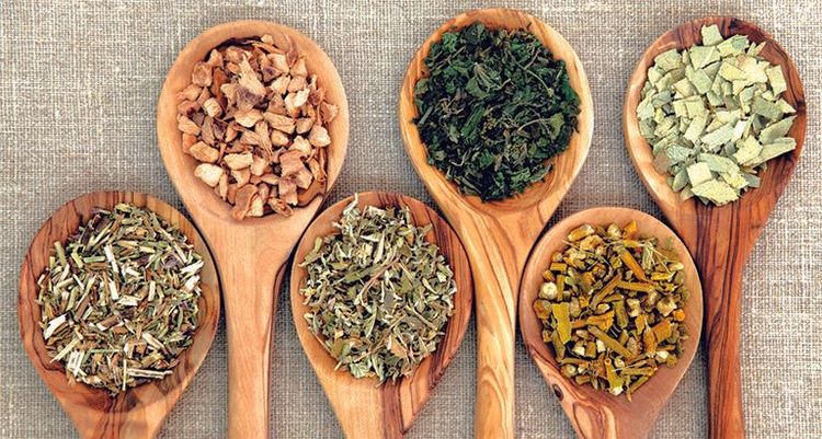 
Điều trị viêm da cơ địa bằng các bài thuốc trong Đông y
