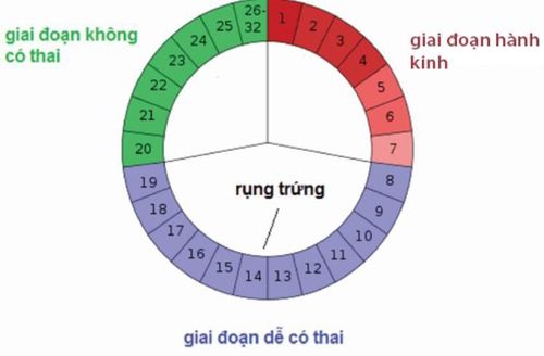 Bảng tính chu kỳ kinh nguyệt an toàn ở phụ nữ 