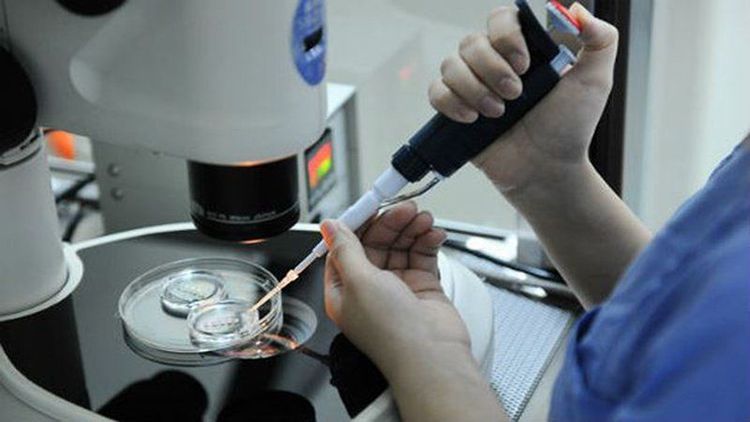 
Tỷ lệ nam giới vô sinh do không có tinh trùng ngày càng tăng
