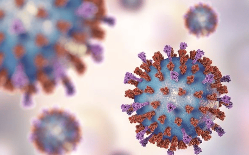 Virus RSV