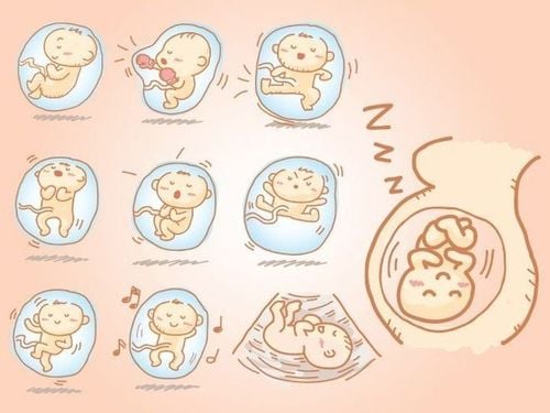 
Theo dõi tình trạng của thai nhi
