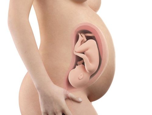 
Vị trí của thai nhi trong bụng mẹ rất quan trọng
