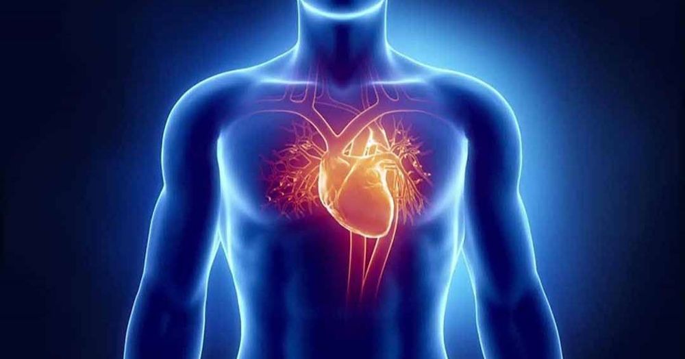 Quan hệ tình dục giúp đem lại lợi ích cho tim mạch của nam giới 