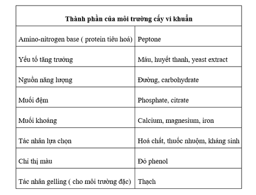 Kỹ thuật không cấy để chẩn đoán nhiễm trùng trong phòng xét nghiệm - Phần 2