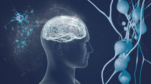 Bệnh lý xơ cứng rải rác có thể được chẩn đoán nhầm