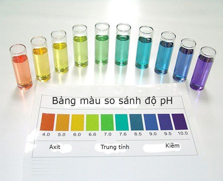 
Kiểm tra pH của cơ thể sẽ chẩn đoán rối loạn chuyển hóa kiềm toan
