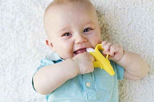 
Dụng cụ hỗ trợ để nhai
