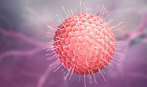 Thuỷ đậu là bệnh truyền nhiễm do Varicella zoster virus gây ra