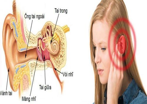 
Một trong những nguyên nhân khiến vòi nhĩ hay bị tắc đó là do viêm mũi họng
