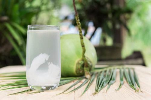 
Nếu muốn uống nước dừa, người bệnh tiểu đường cần uống nước dừa nguyên chất, không pha thêm đường cũng như không sử dụng nước dừa đóng lon
