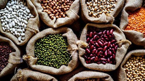
Lipid có trong một số loại hạt

