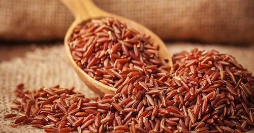 
Gạo lứt giúp trì hoãn quá trình tiến triển của bệnh tiểu đường
