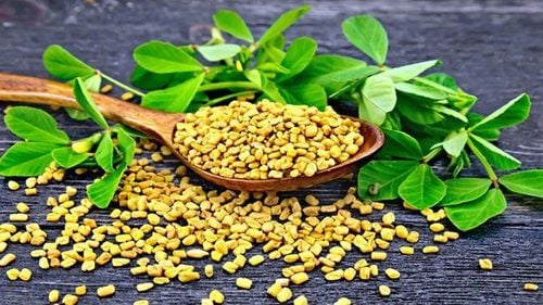 
Cỏ cà ri có thể tăng nồng độ testosterone ở nam giới
