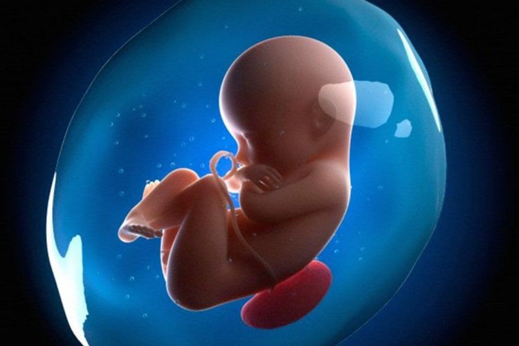 
Dịch ối có vai trò quan trọng trong thai kỳ
