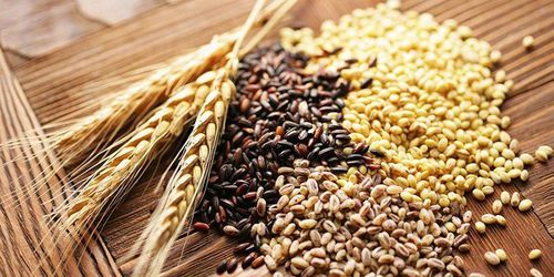 
Cho bé ăn sáng bằng ngũ cốc nguyên hạt
