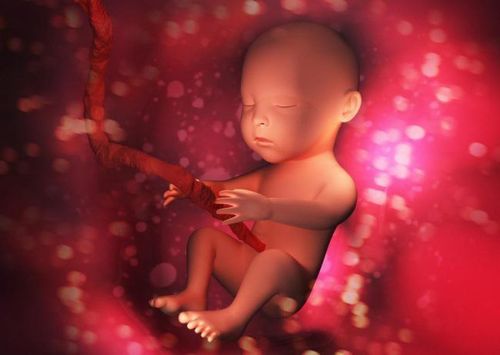 
U sợi thần kinh loại 1 là bệnh lý di truyền theo gen trội
