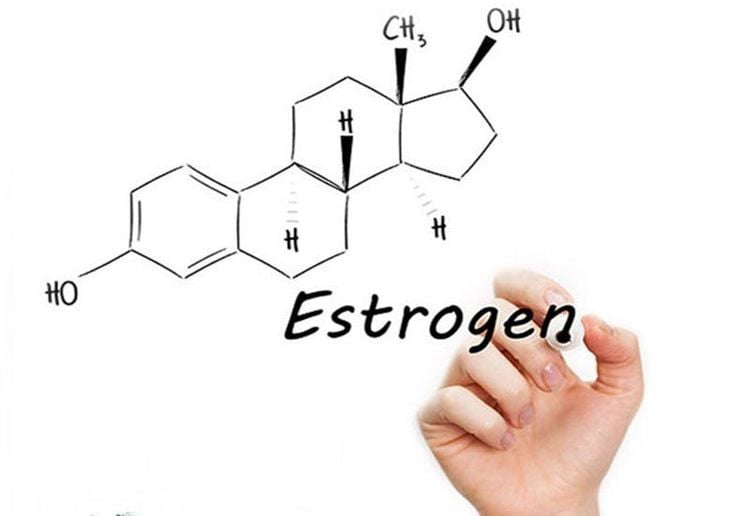 Ung thư vú chứa thụ thể estrogen có xu hướng tiên lượng tốt hơn