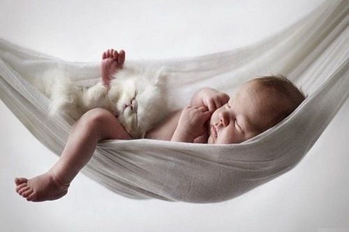 
Cha mẹ nên khắc phục tình trạng trẻ sơ sinh thích bế khi ngủ và thích nằm võng ngủ
