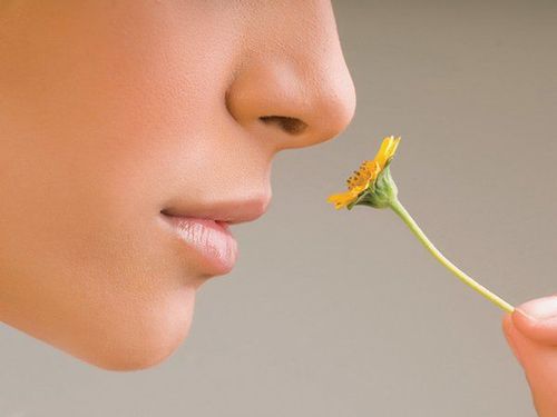 
Rất nhiều người quan tâm đến việc mất khứu giác có hồi phục được không

