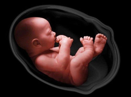 
Bệnh thận đa nang tự phát có thể di truyền từ bố mẹ sang con
