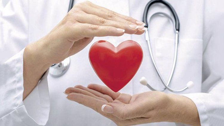 
Điện tâm đồ được sử dụng để chấn đoán các bệnh về tim
