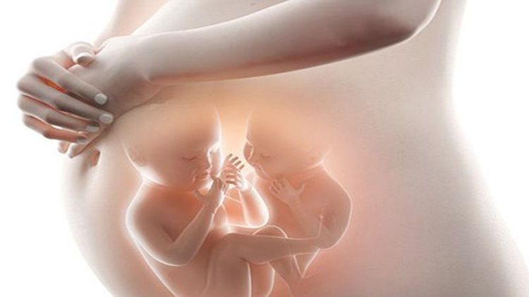 
Đa thai là một trong các yếu tố sử dụng tầm soát đái tháo đường trong thai kỳ
