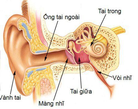 Viêm thượng nhĩ là một thể của viêm tai giữa.
