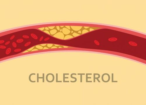 
Thuốc tránh thai ảnh hưởng rất ít đến mức cholesterol
